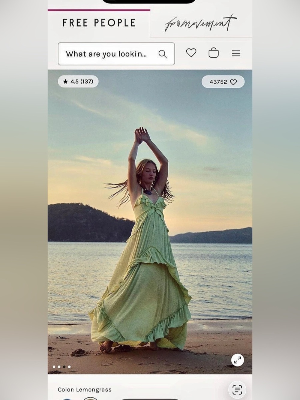 Free People Women's Maxi Dress